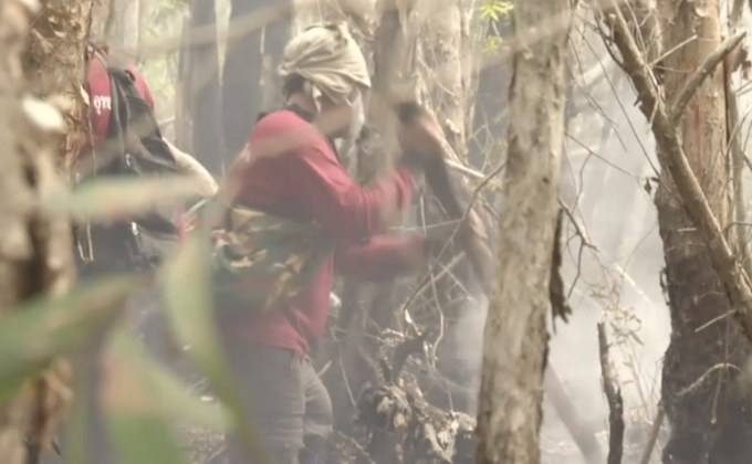 เตรียมแจ้งความผู้ลอบเผาป่าพรุ 2 จังหวัด