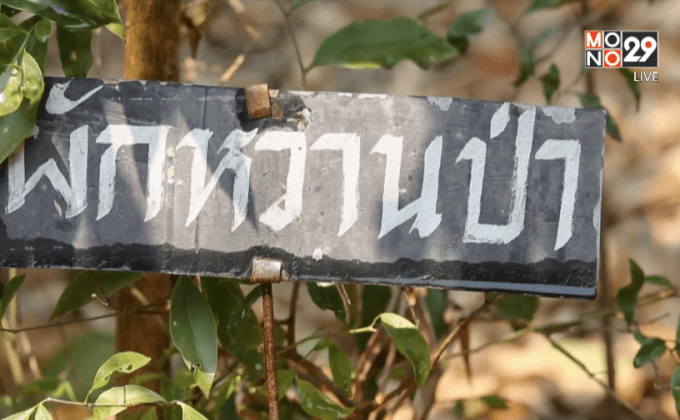 Big HERO คนดีบ้านฉัน : ผู้ใหญ่สาคร อำภา HERO ผู้นำการทำบัญชีครัวเรือนในชุมชนตอนที่ 4/5