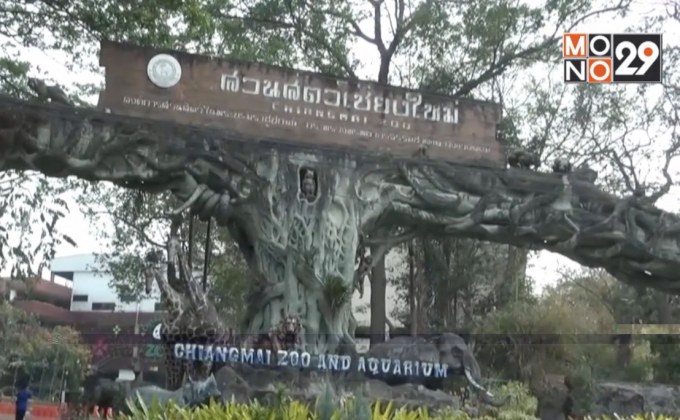 โควิด-19 ส่งผลกระทบสวนสัตว์ จ.เชียงใหม่