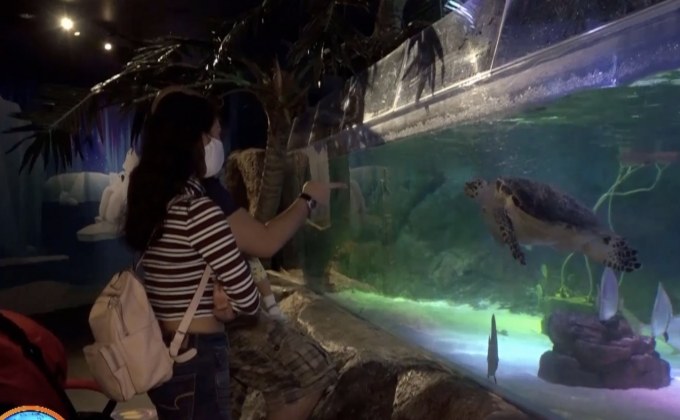 “ซีไลฟ์ แบงคอก” กลับมาเปิดประสบการณ์ท่องโลกทะเลอีกครั้ง