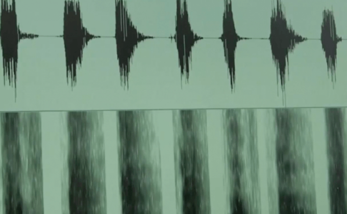 ผลการศึกษาเสียงเห่าที่สร้างความรำคาญ