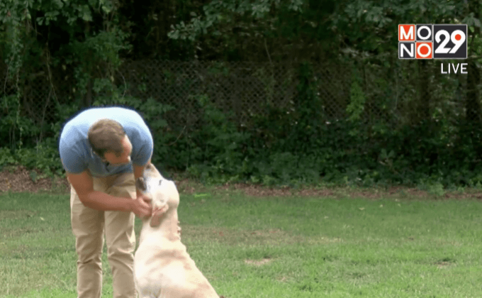 การพบกันอีกครั้งของทหารหนุ่มกับสุนัขคู่หู