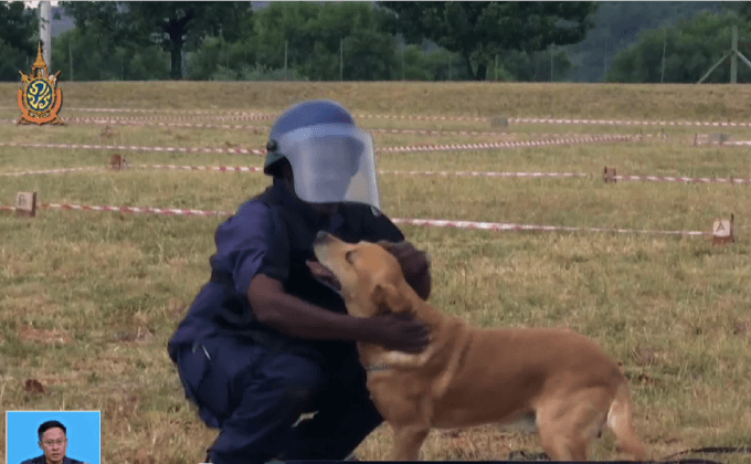 การฝึกสุนัขดมกลิ่นของแอฟริกาใต้