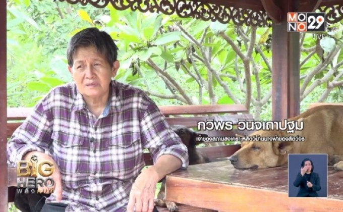 Big hero พลังคนดี ตอน บ้านนางฟ้าของสัตว์จร