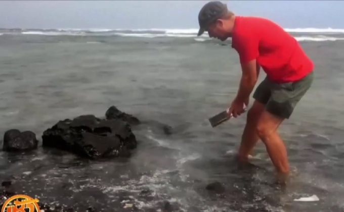 พบมลพิษที่ร่องลึกในมหาสมุทรแปซิฟิก