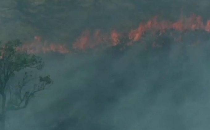 ไฟป่าในออสเตรเลีย