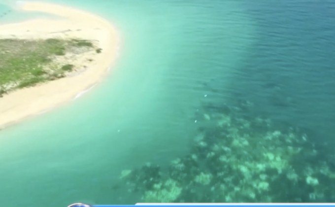 แนวปะการัง “เกรท แบร์ริเออร์ รีฟ” อยู่ในภาวะอันตราย