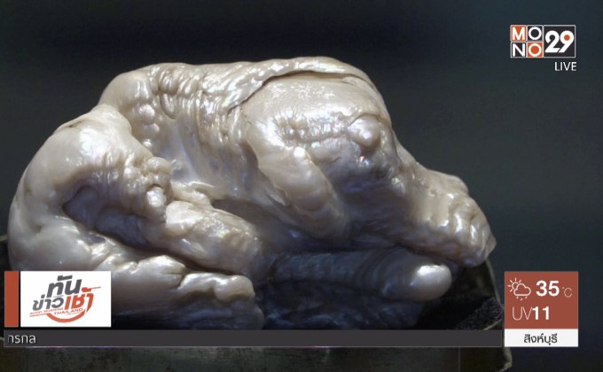 ประมูลไข่มุก “Sleeping Lion”