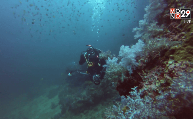 Five minutes Bighero : แน่งน้อย ยศสุนทร HERO ผู้พิทักษ์ทะเลไทย ตอนที่ 4/5