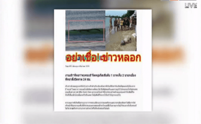 นักท่องเที่ยวไม่ตื่นข่าวลวงพบจระเข้ที่ทะเลพัทยา