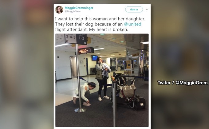 สุนัขตายบนเครื่องบิน “ยูไนเต็ด แอร์ไลน์ส”