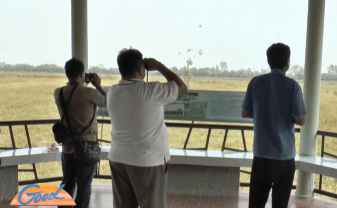 นักท่องเที่ยวแห่ชมนกปากห่างอพยพ