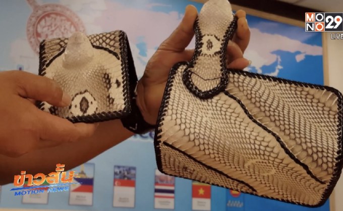 จับกระเป๋าหนังสัตว์ผ่านท่าอากาศยานสุวรรณภูมิ