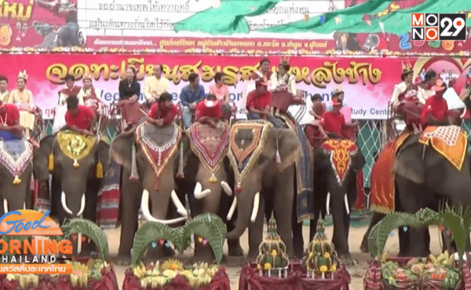 พิธีจดทะเบียน..บนหลังช้าง