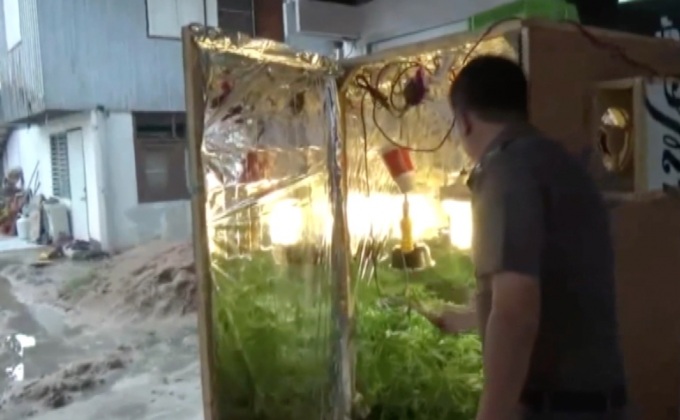 จับขายกัญชาทางอินเตอร์เน็ต จ.ระยอง