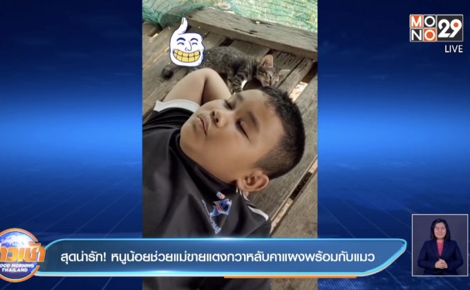 สุดน่ารัก! หนูน้อยช่วยแม่ขายแตงกวาหลับคาแผงพร้อมกับแมว