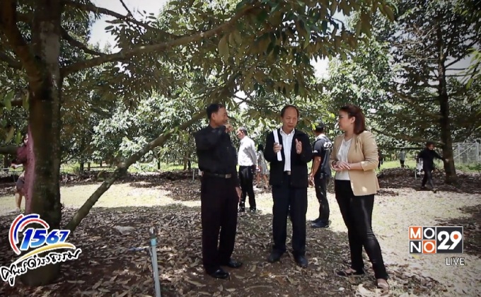 ศูนย์ดำรงธรรมจังหวัดจันทบุรี ล้งทุเรียนด้อยคุณภาพ