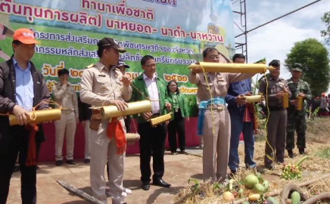 ผู้ว่าฯ มหาสารคามโชว์ไถนา