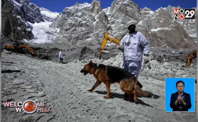 “กลิ่นแห่งความตาย” กับการพัฒนาสุนัขดมกลิ่น