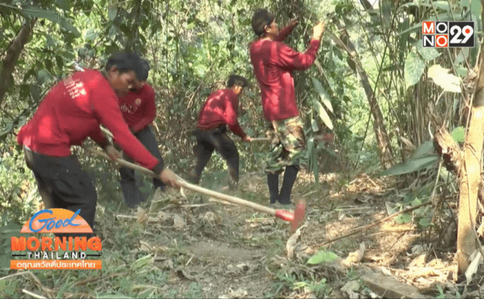 เชียงใหม่คุมเข้มห้ามเผา 60 วัน