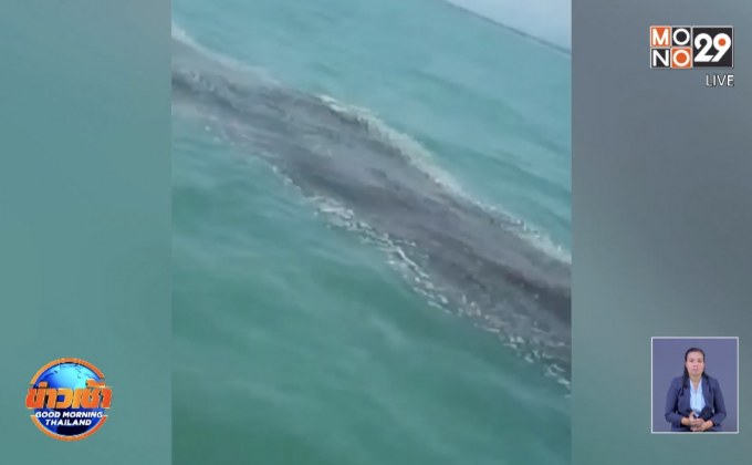 พบแพน้ำมันขนาดใหญ่ลอยกลางทะเลเมืองคอน