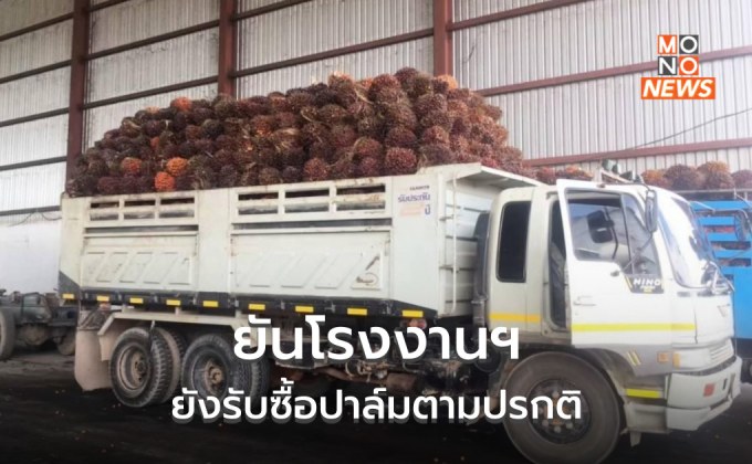 กรมการค้าภายใน ยันโรงงานยังรับซื้อตามปกติ เร่งสอบข่าวหยุดรับซื้อปาล์ม