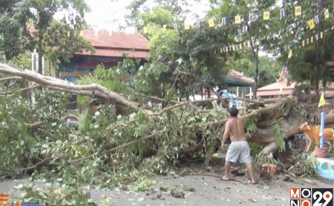 กิ่งโพธิ์อายุ 300 ปี โค่นทับศาลาวัด จ.นครนายก