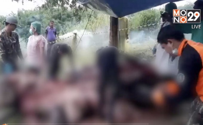 เตรียมส่งเนื้อเยื่อพิสูจน์ช้างแม่ลูกอ่อนล้ม