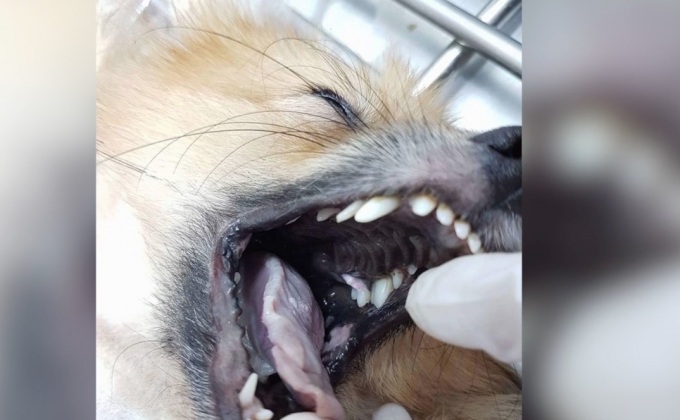 นศ.แพทย์ เบี้ยวนัดตร. ออกหมายเรียกรอบสอง 26 ก.ย.นี้