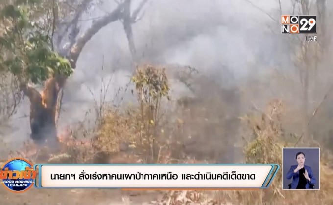 นายกฯ สั่งเร่งหาคนเผาป่าภาคเหนือ และดำเนินคดีเด็ดขาด