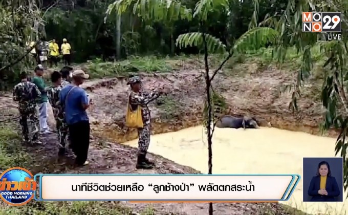 นาทีชีวิตช่วยเหลือ “ลูกช้างป่า” พลัดตกสระน้ำ