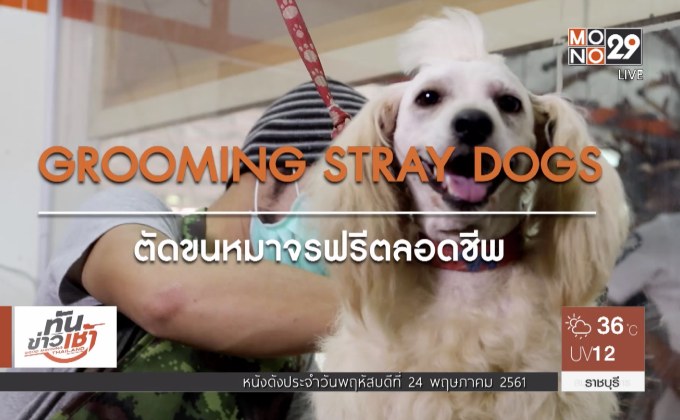 คนดีเปลี่ยนโลก Man Changes the World  ตอน:ตัดขนหมาจรฟรีตลอดชีพ