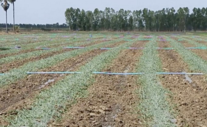 เกษตรกรเร่งสูบน้ำ หลังแม่น้ำยม จ.พิจิตร แห้งขอด