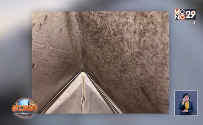 โซเชียลแชร์”นอนเต็นท์”เจอเชื้อราดำทั้งหลัง