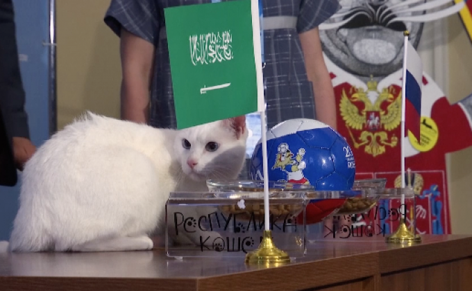 แมวทำนายผลบอลโลกนัดเปิดสนาม “รัสเซีย” ชนะซาอุฯ