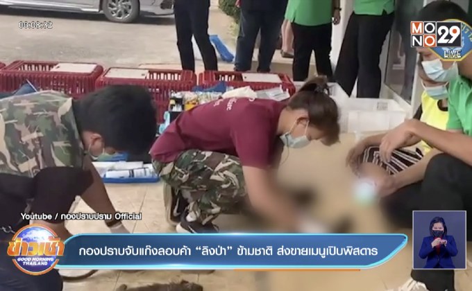 กองปราบจับแก๊งลอบค้า “ลิงป่า” ข้ามชาติ ส่งขายเมนูเปิบพิสดาร