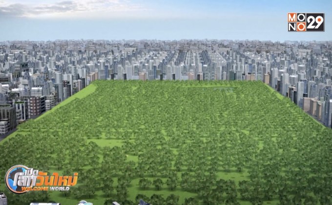 นครนิวยอร์กประกาศฟื้นฟู “เซ็นทรัล พาร์ค”