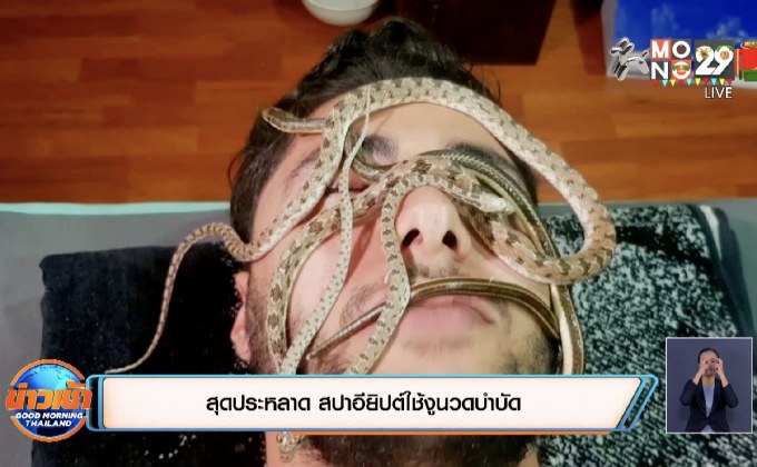 สุดประหลาด สปาอียิปต์ใช้งูนวดบำบัด