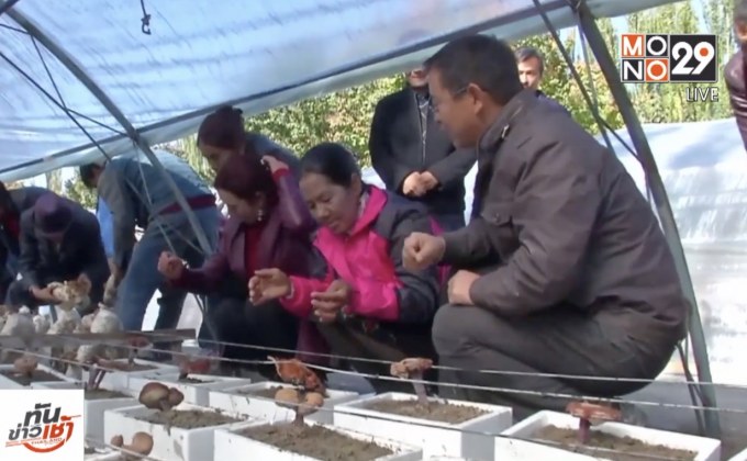 จีนเผยความก้าวหน้าโครงการช่วยหมู่บ้านยากจน