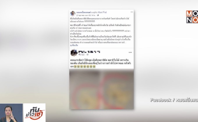 แพทย์ชี้ คนกินดิบเสี่ยงพยาธิตัวตืด ไชทะลุลำไส้