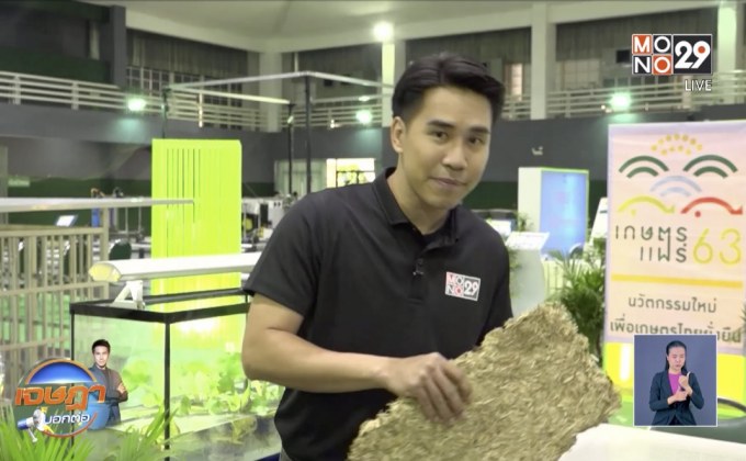 เจษฎาบอกต่อ วัสดุรองสิ่งขับถ่ายสัตว์จากผักตบชวา