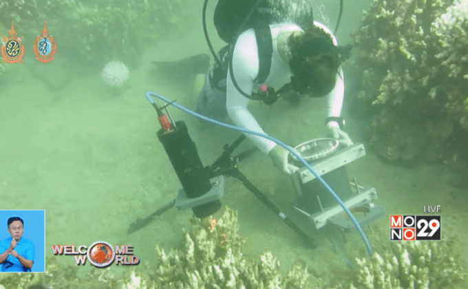 กล้องจุลทรรศน์จับการเคลื่อนไหวปะการัง