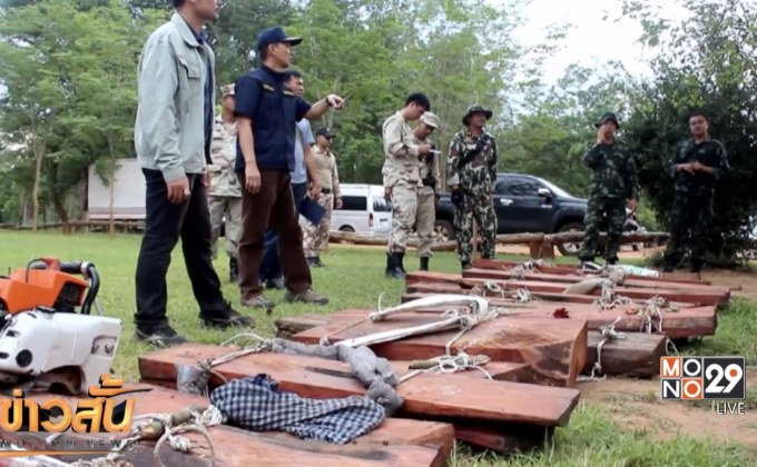 กวาดล้างขบวนการลักลอบตัดไม้พะยูง