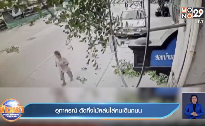 อุทาหรณ์ ตัดกิ่งไม้หล่นใส่คนเดินถนน
