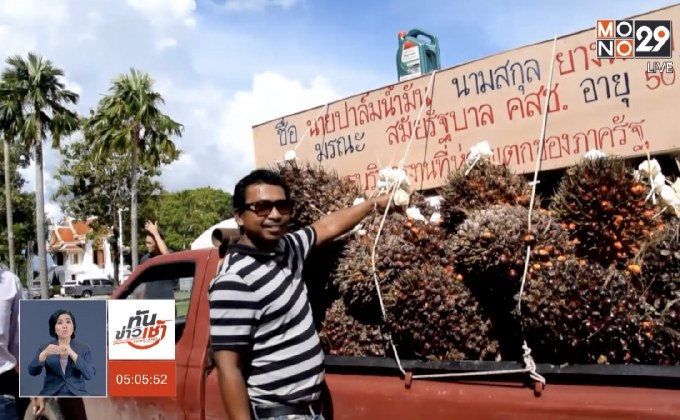 ชาวสวนปาล์มกระบี่ เรียกร้องแก้ปัญหาราคาตกต่ำ