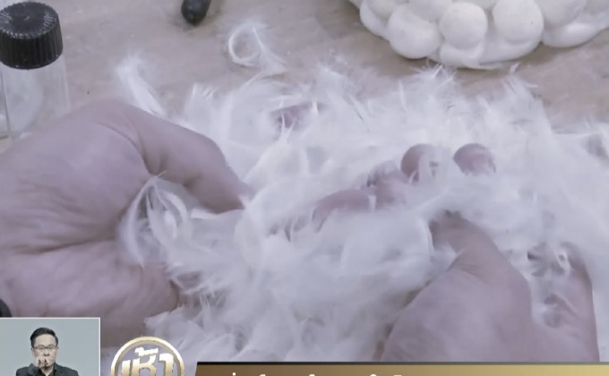 เปลี่ยนโปรตีนในขนนกให้เป็นอาหารสัตว์