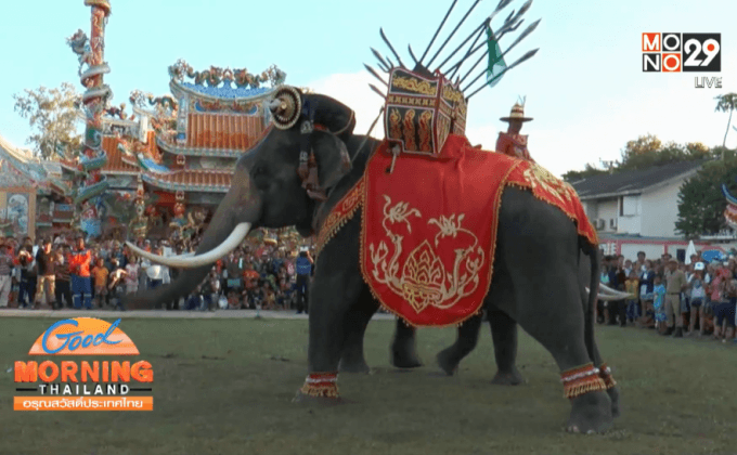 กิจกรรมวันช้างไทยทั่วประเทศคึกคัก