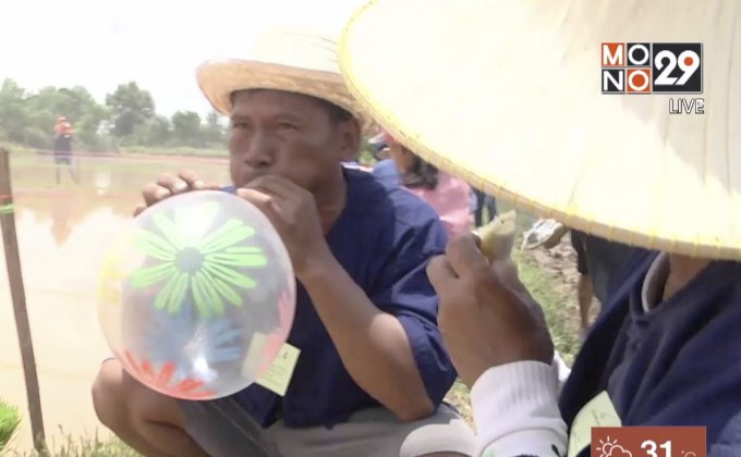 ขอนแก่นจัดแข่งดำนาวิบากสุดมัน!