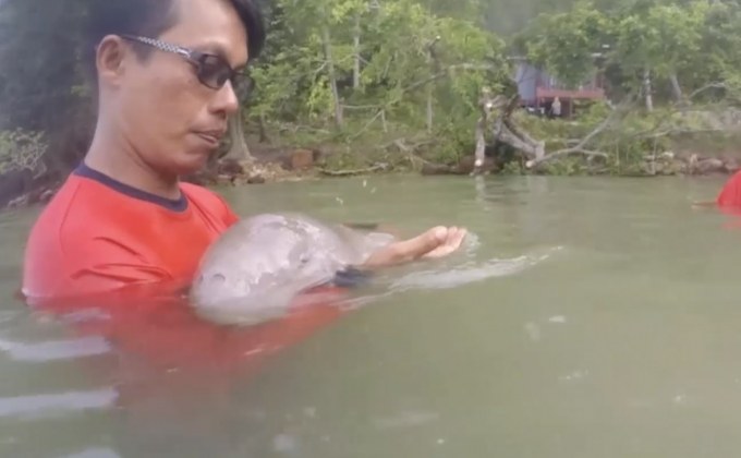 เฝ้าระวังอาการ “มาเรียม” ช็อกหัวใจหยุดเต้น