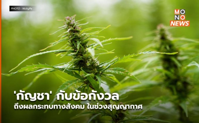 ‘กัญชา’ กับข้อกังวลถึงผลกระทบทางสังคม ในช่วงสุญญากาศ